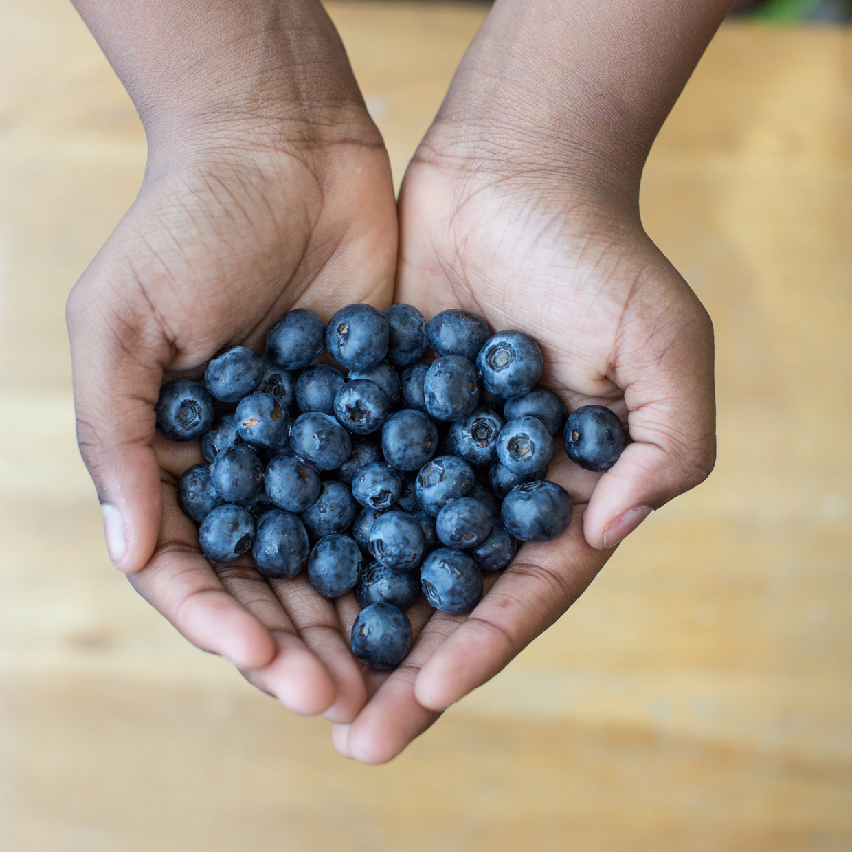 Blueberries-13