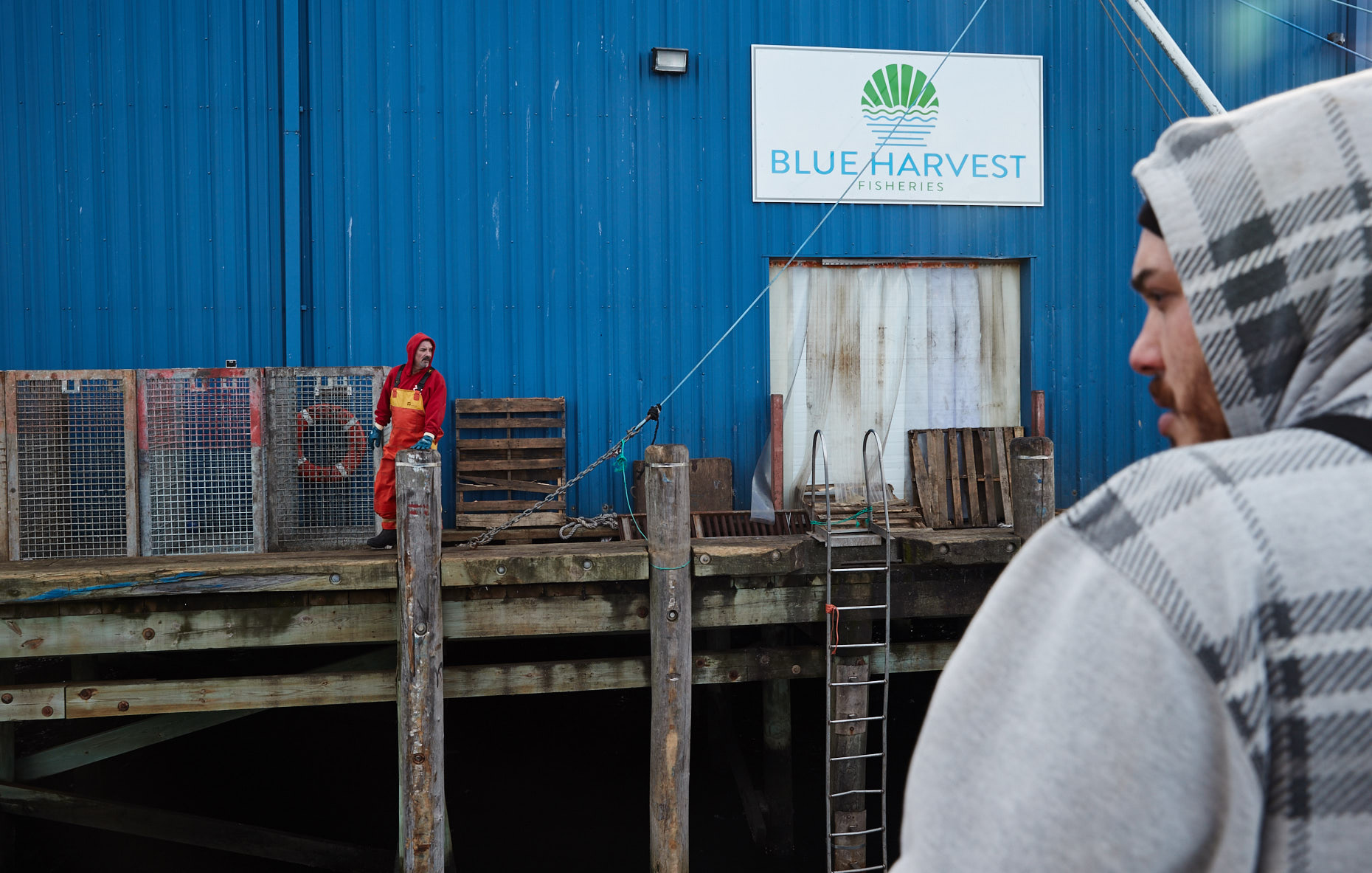 blue_harvest_nov_2016_0399