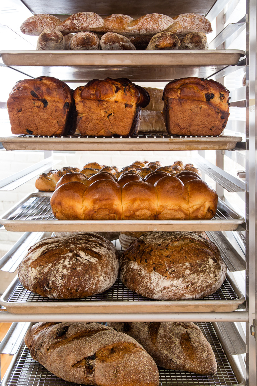 bread_illustrated_cover-12