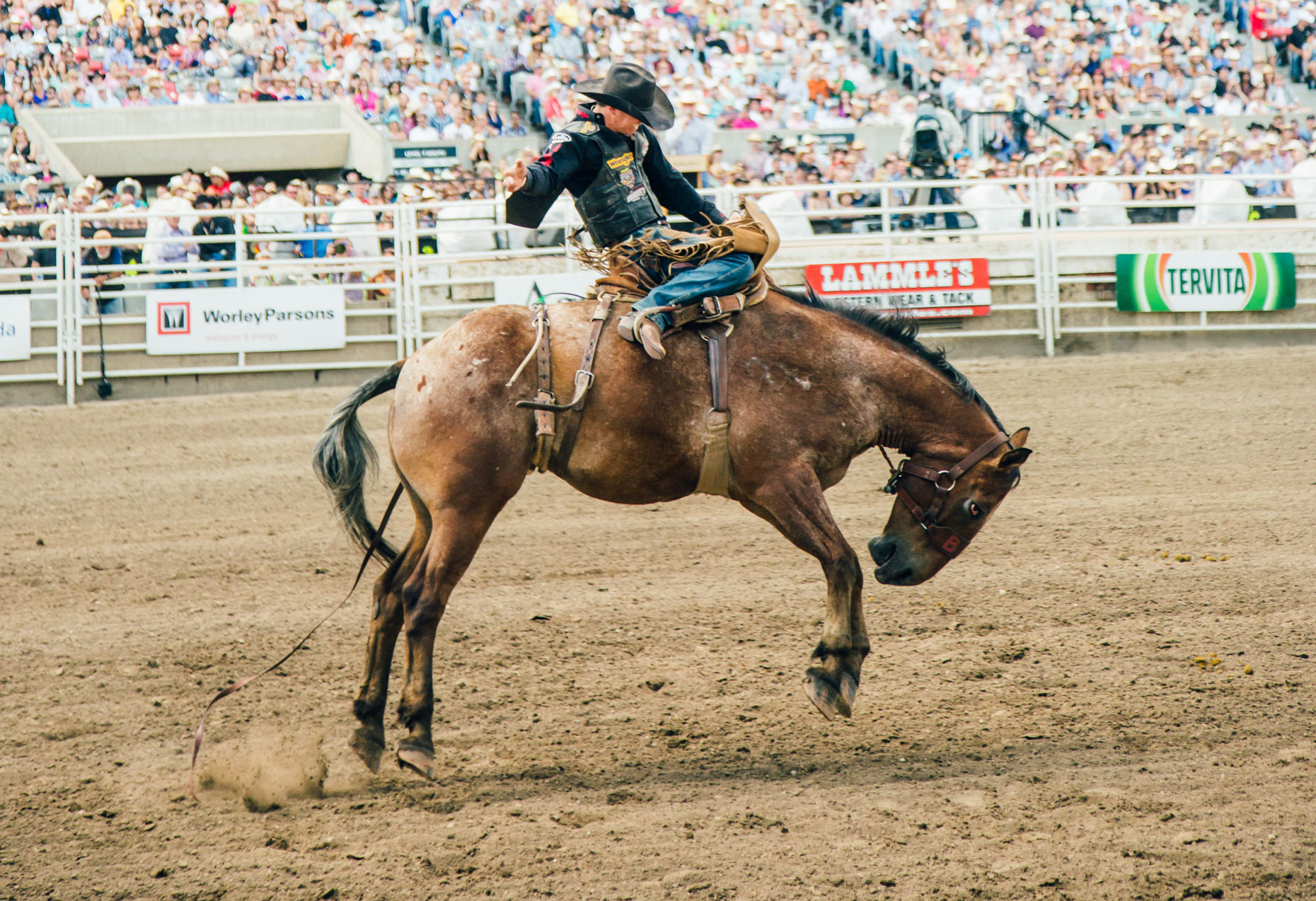 calgary_stampede_friday-159